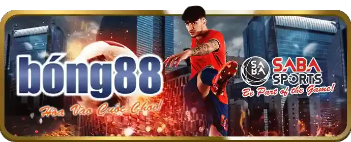 Quản lý tài khoản cá nhân